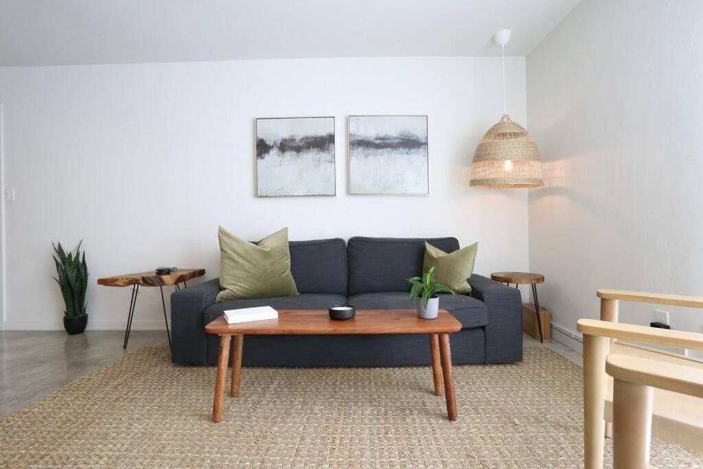 Concrete Suite 5 Min Walk To Shands Uf Gainesville Esterno foto